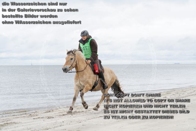 s_K3F04774.JPG